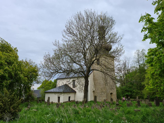 Kostel sv. Ondřeje (Krašov, Bezvěrov) / Pohled ze hřbitova / Autor fotografie: Jiří Kantor
