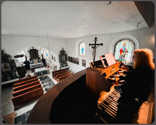 Ošelín / Autor fotografie: Jero