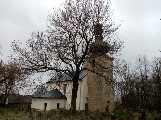 Kostel sv. Ondřeje (Krašov, Bezvěrov) 2021