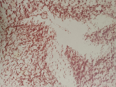 křesťanské symboly