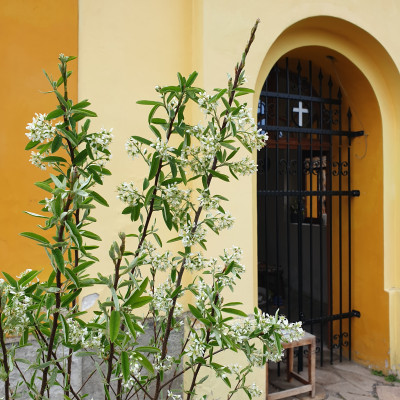 Třebenice-Lhota, kaple