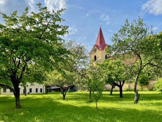Kostel z farní zahrady / Autor fotografie: Tomáš Koňařík