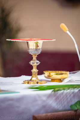 Kalich01 / Kalich01 / Autor fotografie: Krhut Václav