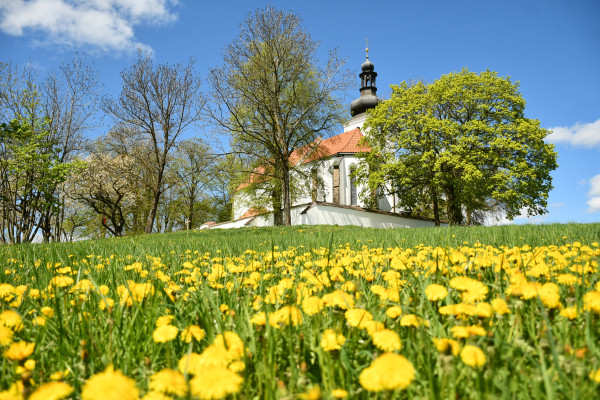 Nový Kostelec / Autor fotografie: Pavla Janková Kohelová