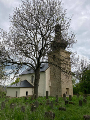 Kostel sv. Ondřeje (Krašov, Bezvěrov) / Kostel a opuštěný hřbitov / Autor fotografie: Zdeňka Giacintová
