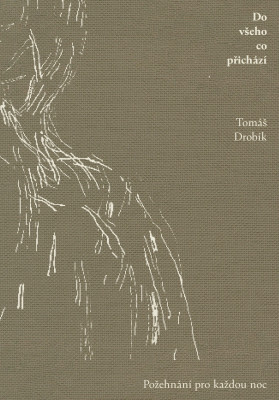 Do vseho co prichazi