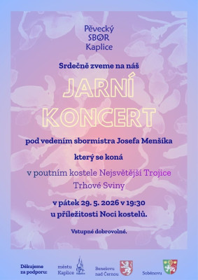 Trhové Sviny.jpg