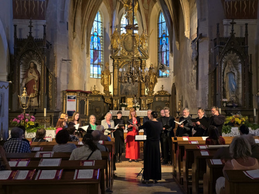 Starý Plzenec, kostel Narození Panny Marie, Malá Strana